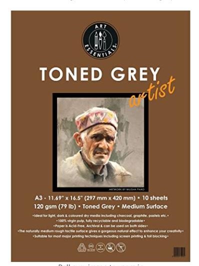 Art Essentials Toned Sketch Artist A3 Cool Grey Medium Surface 120 GSM Paper, Polypack of 10 Sheets